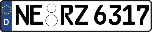 NE-RZ6317