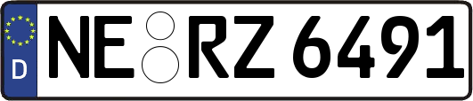 NE-RZ6491