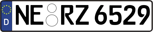 NE-RZ6529