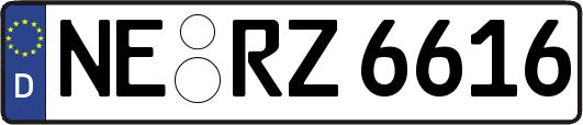 NE-RZ6616