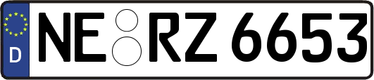 NE-RZ6653