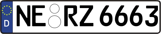 NE-RZ6663