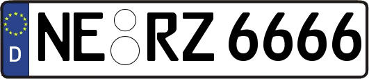 NE-RZ6666