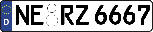 NE-RZ6667