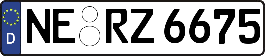 NE-RZ6675