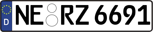 NE-RZ6691