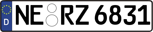NE-RZ6831