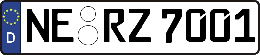 NE-RZ7001