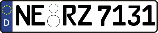 NE-RZ7131