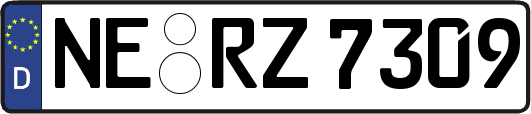 NE-RZ7309