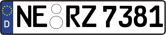 NE-RZ7381