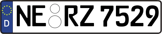 NE-RZ7529