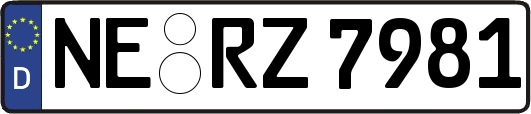 NE-RZ7981