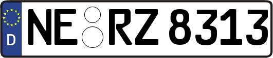NE-RZ8313