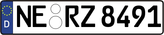 NE-RZ8491