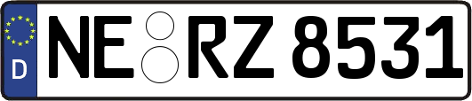 NE-RZ8531