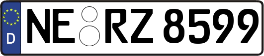 NE-RZ8599