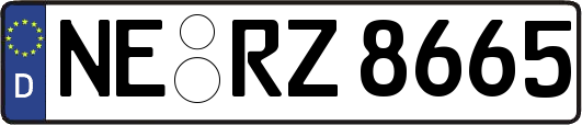 NE-RZ8665