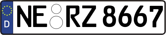 NE-RZ8667