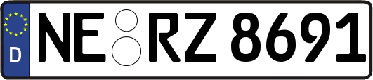 NE-RZ8691