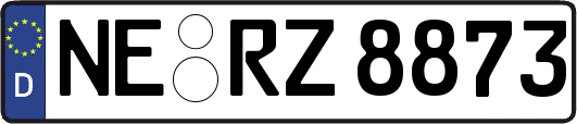 NE-RZ8873