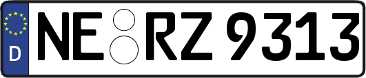NE-RZ9313