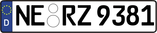 NE-RZ9381