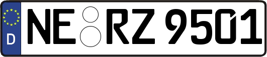 NE-RZ9501