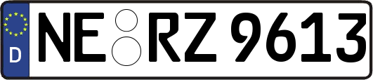 NE-RZ9613
