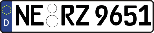 NE-RZ9651