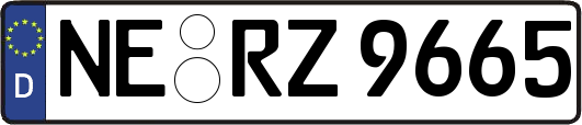 NE-RZ9665