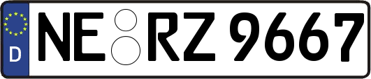 NE-RZ9667