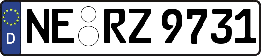 NE-RZ9731