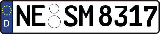 NE-SM8317