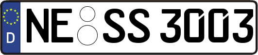 NE-SS3003