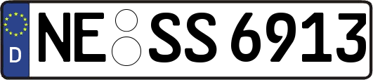 NE-SS6913