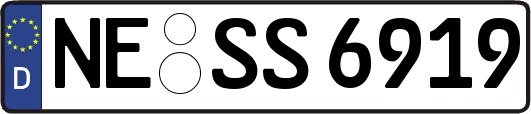 NE-SS6919