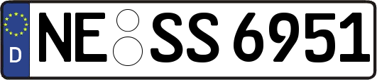 NE-SS6951