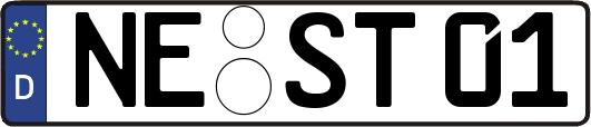 NE-ST01