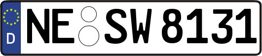 NE-SW8131