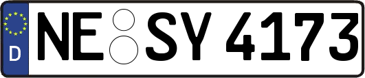 NE-SY4173