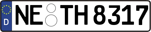 NE-TH8317