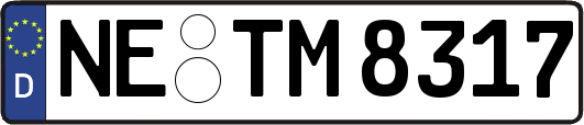 NE-TM8317
