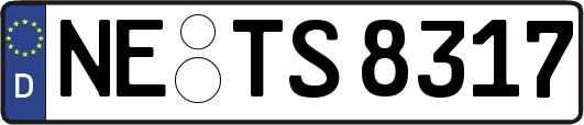 NE-TS8317