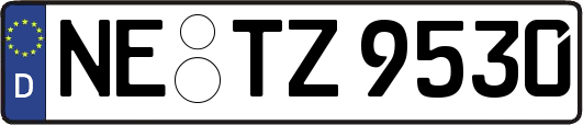 NE-TZ9530