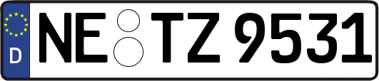 NE-TZ9531