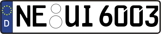 NE-UI6003
