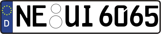 NE-UI6065