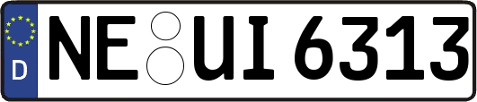 NE-UI6313