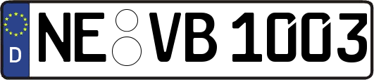 NE-VB1003